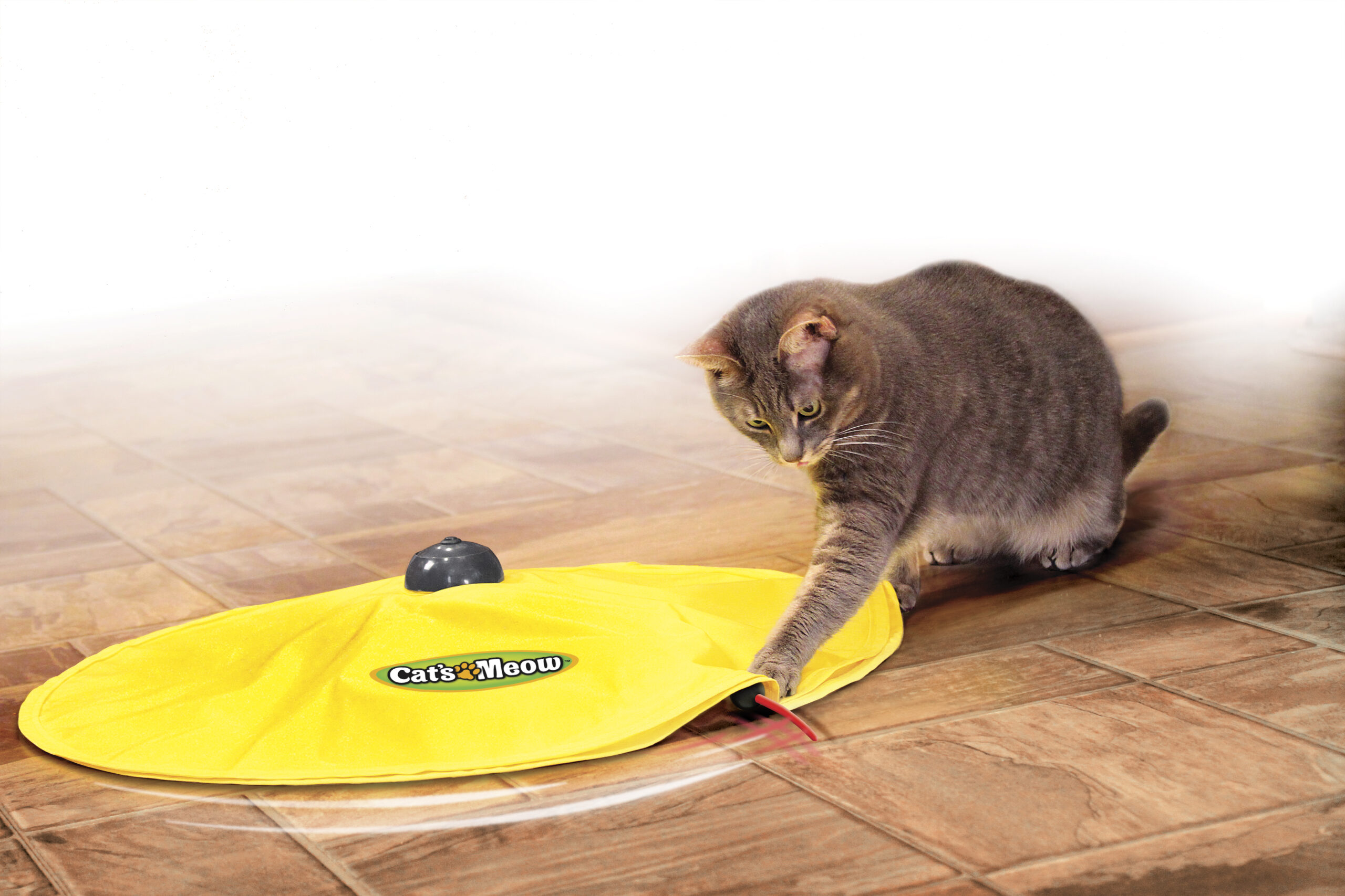 Cat&rsquo;s Miaou